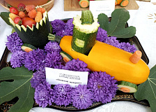 Ежегодный праздник урожая «Фантазии осени-2021» прошёл в рамках узлового клуба «Ветеран». 